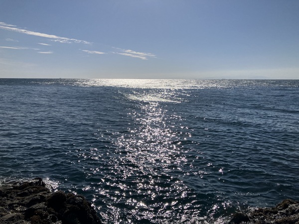 IMG_6483.jpeg