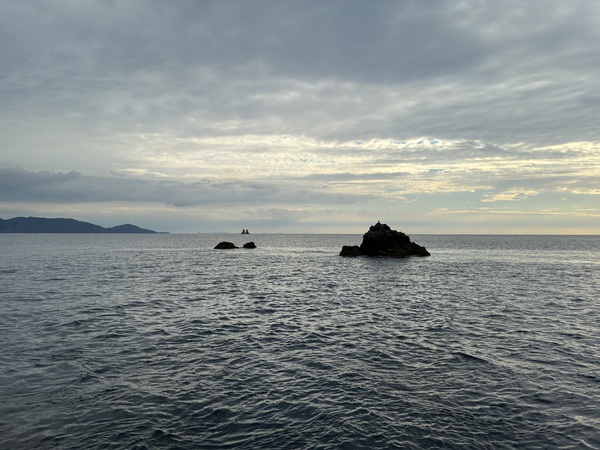 IMG_7280.jpeg