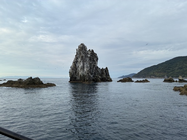 IMG_7285.jpeg